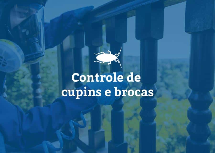Controle de Cupins e Brocas