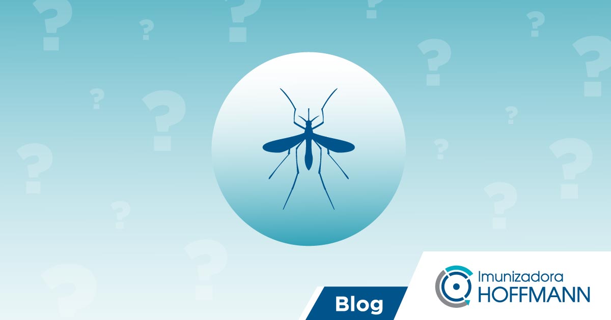 Dengue, zika e chikungunya: quais são as diferenças?