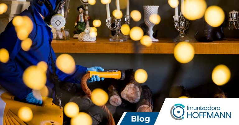 Acerte na mosca: 9 dicas para uma dedetização segura