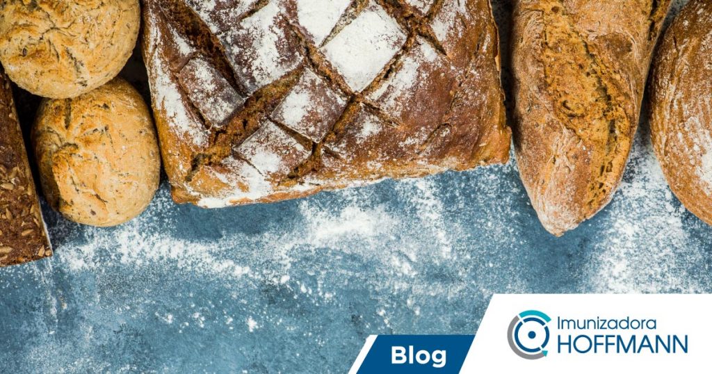 Insetos na padaria: como evitar prejuízos