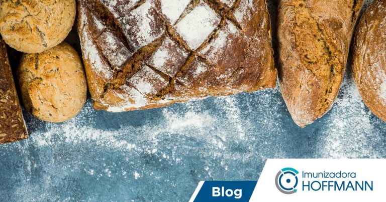 Insetos na padaria: como evitar prejuízos