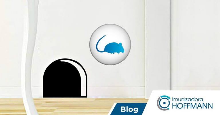Ratazana, rato-preto ou camundongo: com qual se preocupar?