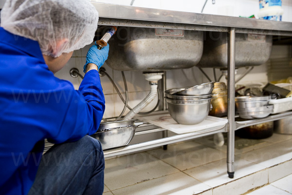 técnico da Imunizadora Hoffmann aplicando tratamento em gel contra baratas