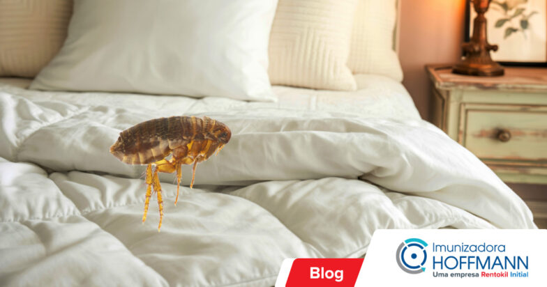 É possível ter infestação de pulgas em ambientes sem animais?