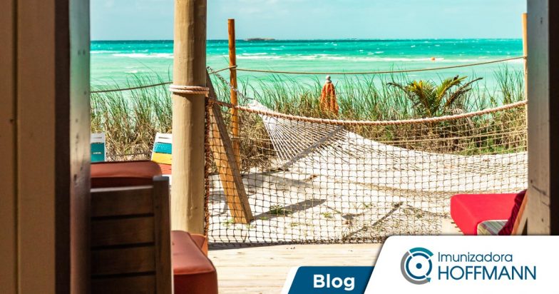 Cupim: o pior inimigo da casa de praia