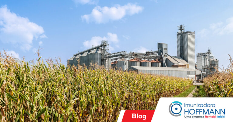 Expurgo de grãos no RS: entendendo o processo de fumigação